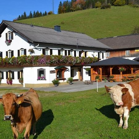 Bio Bauernhof Moas Villa Lunz am See Luaran gambar