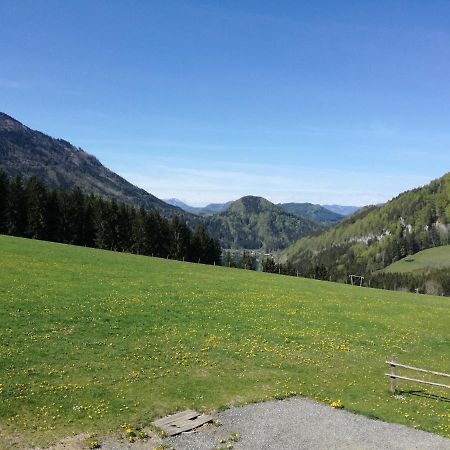 Bio Bauernhof Moas Villa Lunz am See Luaran gambar