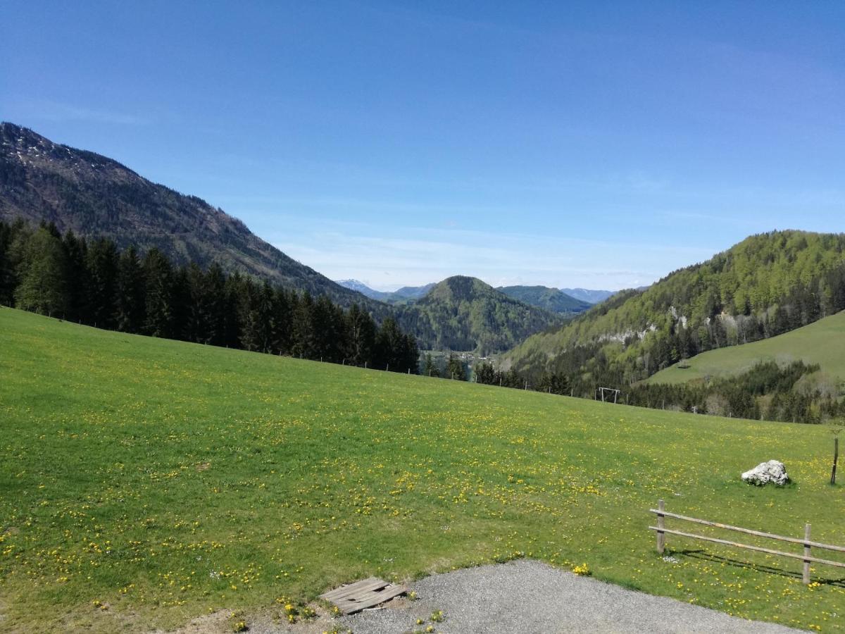 Bio Bauernhof Moas Villa Lunz am See Luaran gambar