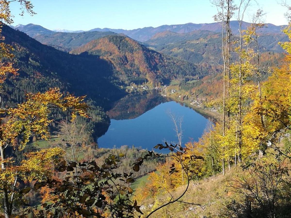 Bio Bauernhof Moas Villa Lunz am See Luaran gambar